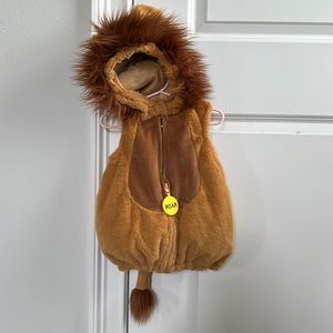 Baby lion costume